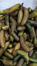 Farm fresh organic for sale  Irvine