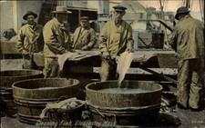 Cartão postal antigo de pescadores de peixes de limpeza GLOUCESTER MASS MA, usado comprar usado  Enviando para Brazil