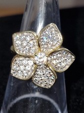 Beatiful veronese flower for sale  NEWTON AYCLIFFE
