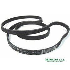 Cinghia 1239 hutchinson usato  Frattamaggiore