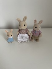 Sylvanian families famiglia usato  Spedire a Italy