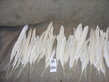 Swan feathers for sale  IPSWICH