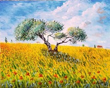 Olio tela 40x50 usato  Caltagirone