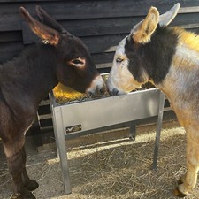 goat hay rack for sale  THETFORD