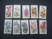 Usado, Wills- Old English Garden Flowers A Series (1911) - # 4 Olho de Boi Margarida Margarida comprar usado Usado, Wills- Old English Garden Flowers A Series (1911) - # 4 Olho de Boi Margarida Margarida comprar usado  Enviando para Brazil