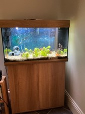 Jewel rio 125 for sale  ALFORD
