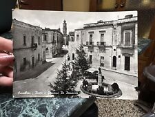 Cartolina cavallino busto usato  Beinasco