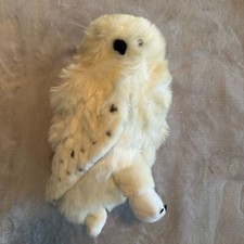 Harry potter owl for sale  Waxahachie