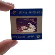 Vintage 1950s drewry for sale  Cupertino