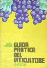 Guida pratica del usato  Italia