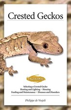 Crested geckos care for sale  GRAVESEND