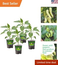 Sweet banana pepper for sale  Houston