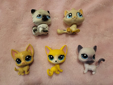 Lps cat lot for sale  Minneapolis