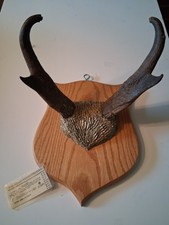 Vintage pronghorn antelope for sale  Madison