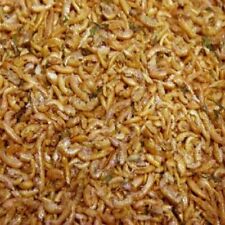 Freeze dried gammarus for sale  WICKFORD