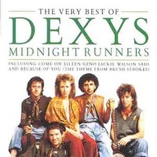 Best dexys midnight for sale  ROSSENDALE