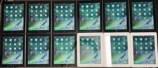 X12 lot apple for sale  Chicago
