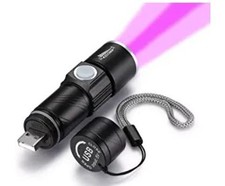 Torcia 395nm usb usato  Sant Elia Fiumerapido