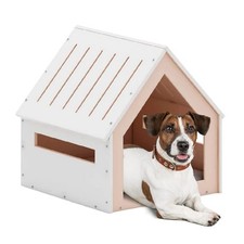 Big house pets for sale  Ashford