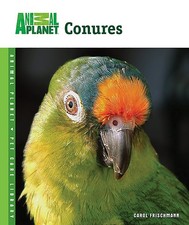 Conures frischman carol for sale  UK