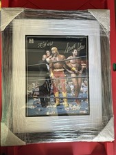 Hulk hogan scott for sale  Rego Park
