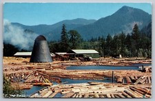 Northwest sawmill log for sale  Clarence Center