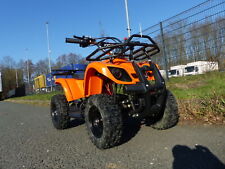 Elektro quad miniquad gebraucht kaufen  Greven