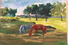 Arte cavallo originale usato  Roma