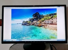 Monitor fujitsu e24 usato  Ardea