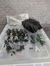 salamanders for sale salamanders for sale NEWCASTLE