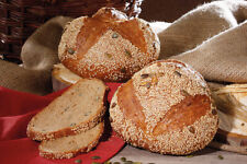 Gerstenbrot brotbackmischung b gebraucht kaufen  Wermsdorf