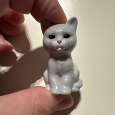 Adorable small cat for sale  Ocoee