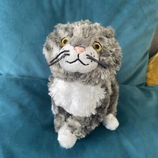 2021 mog cat for sale  SOUTHEND-ON-SEA