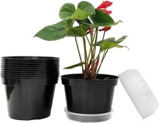 Pack plant pots for sale  Spring Valley