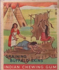 buffalo skin for sale  Charlotte
