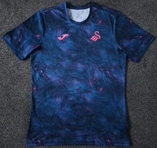 2023 swansea city for sale  NEATH