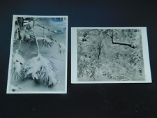 Lot ansel adams for sale  China Grove