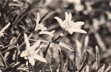 Carte postale ancienne d'occasion Carte postale ancienne d'occasion  Bourg-de-Péage