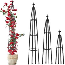 Garden obelisk trellis for sale  UK