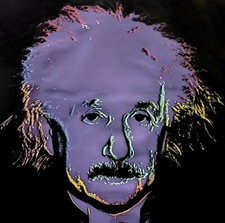 Steve kaufman einstein for sale  Miami