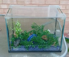 Fish tank aquarium for sale  WOLVERHAMPTON