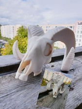 Abdeckkappe ahk dodge gebraucht kaufen  Berlin
