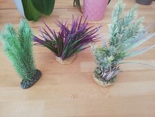 Lot fausse plantes d'occasion  Chaux