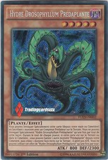 Hydre drosophyllum prédaplant d'occasion Hydre drosophyllum prédaplant d'occasion  Argenteuil