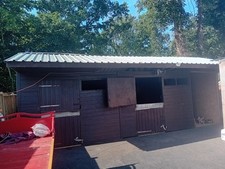 Horse stables whip for sale  BURGESS HILL