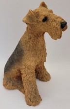 Airedale terrier dog for sale  PAIGNTON