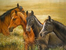 Wild horse field for sale  Suwanee
