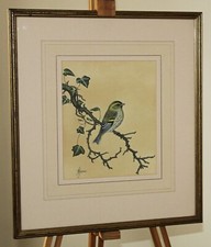 Anne hopkinson ornithological for sale  HARROGATE