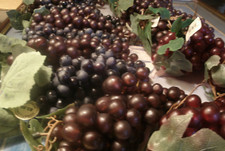 Artificial grape faux for sale  Hamilton
