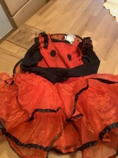 Marienkäfer ladybug kleid gebraucht kaufen  Waibstadt